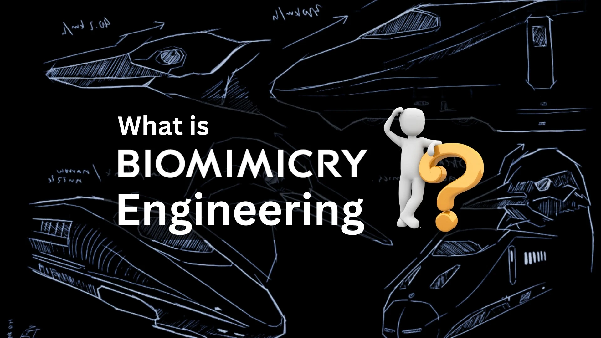 Biomimicryengineering