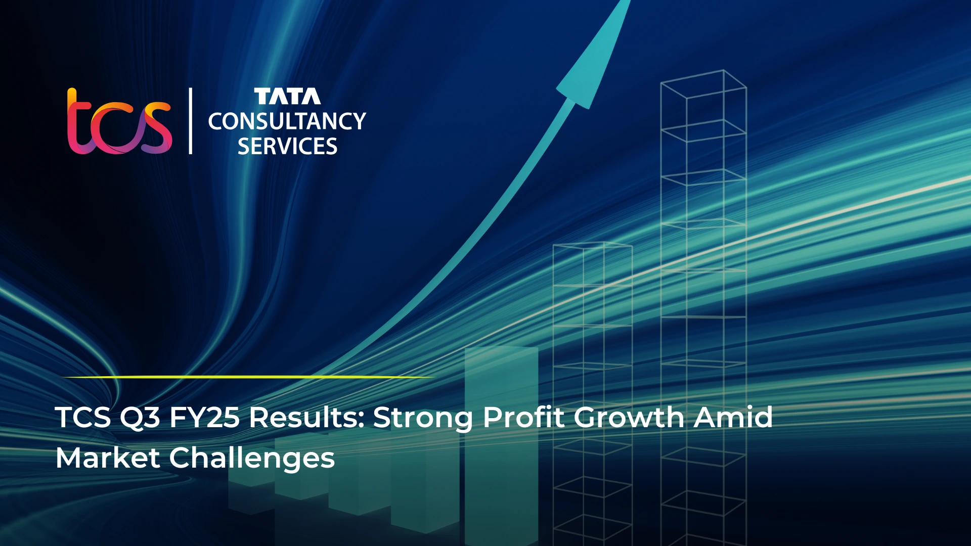 TCS Q3 FY25 Results